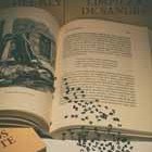 literature category image