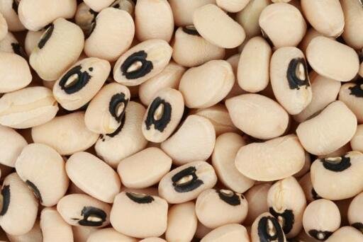 Creamy togo cowpea (beans) - 1 kg
