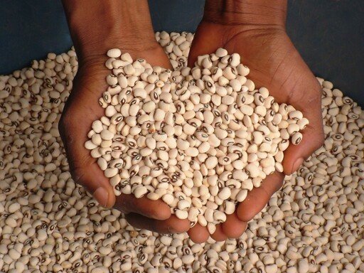 Nigeria cowpea (beans) - 1kg