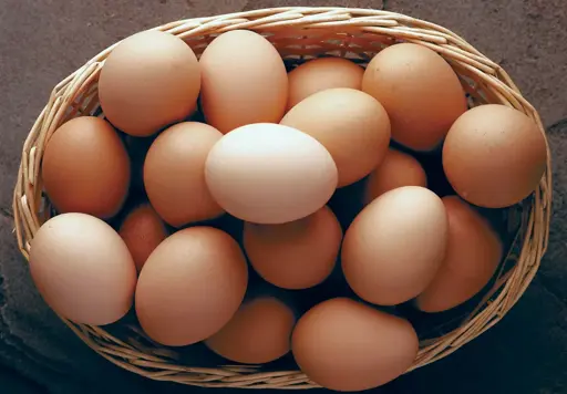 Fresh brown eggs 1 x 15 (medium size)