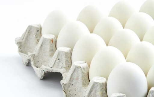 Fresh white eggs 1 x 15 (small size)