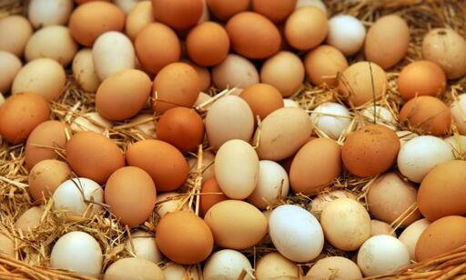 Fresh mixed eggs 1 x 15 (small size)