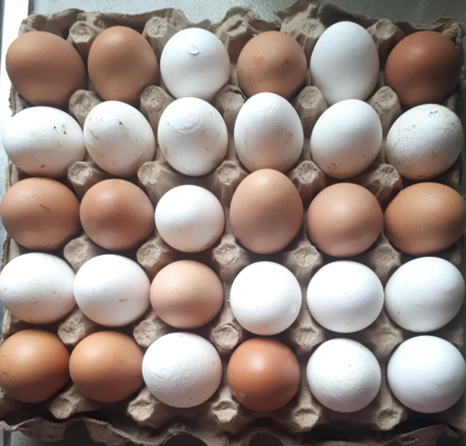 Full crate of mixed eggs (large size)