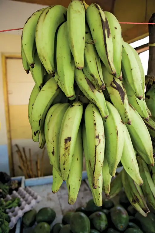 Fresh unripe plantain for ampesi - 1kg image