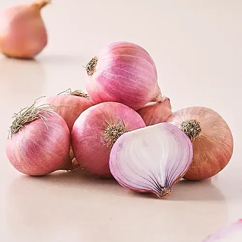 Fresh organic onions