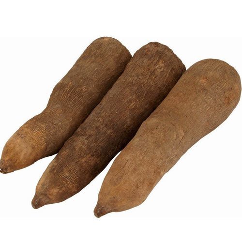 Yam